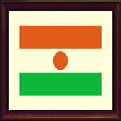 TV Niger Info channel 1.0