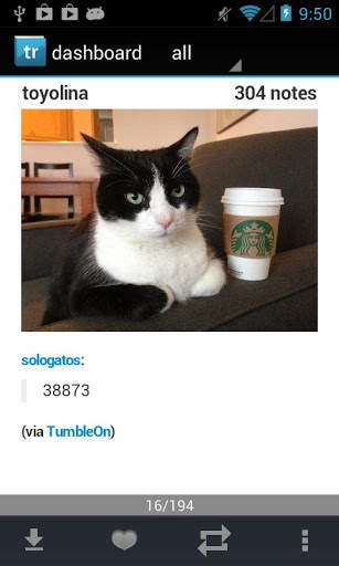 Tumblrunning for Free - Tumblr screenshot 1