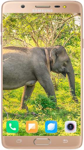 Elephant Wallpaper Best HD screenshot 11