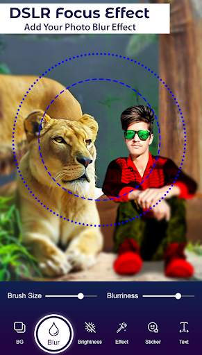 Lion Photo Editor screenshot 5
