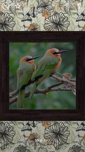 Birds Puzzles - 100 Pictures screenshot 4