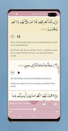 Surah Yaseen Audio Mp3 Offline and Reading screenshot 7