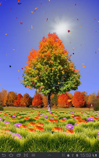 Autumn Trees Free screenshot 5