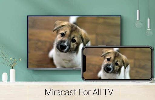 TV Cast Pro screenshot 5
