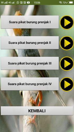 Suara pikat burung prenjak screenshot 3