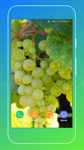 Grapes Wallpapers HD screenshot 16