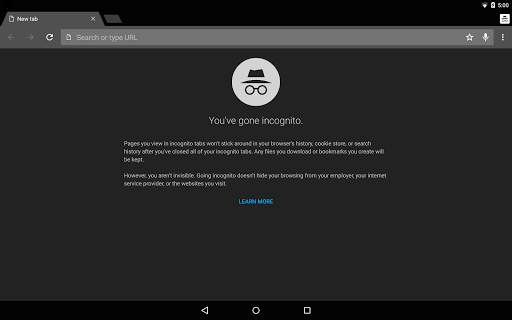 Chrome Dev screenshot 13