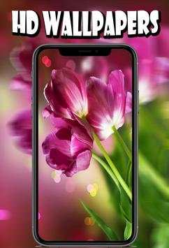 Flower Wallpapers HD स्क्रीनशॉट 2