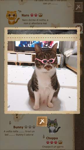 Secret Cat Forest screenshot 6