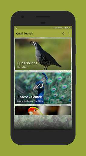 Quail Sounds screenshot 1
