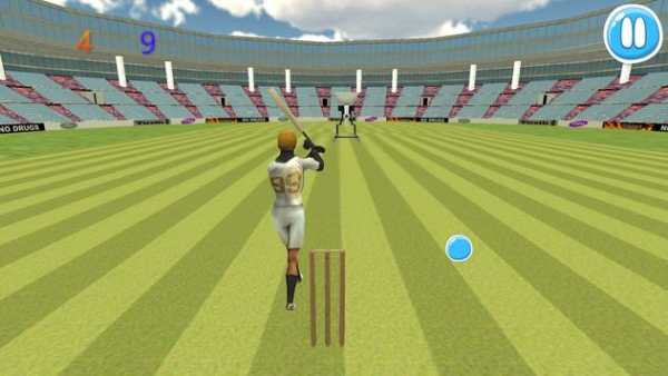Cricket Bat Ball Hit 3D screenshot 1