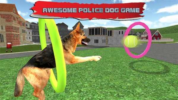 Police Dog Training Sim 2015 screenshot 12