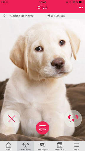 Pluv - Your pet your world screenshot 3