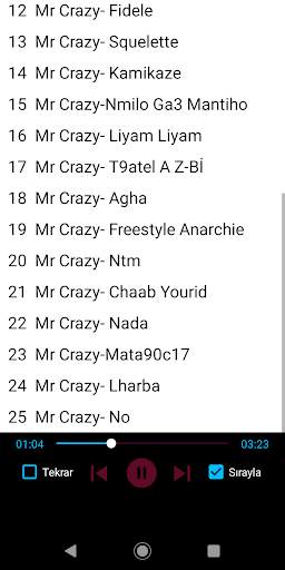Mr Crazy Popular Songs Offline screenshot 2