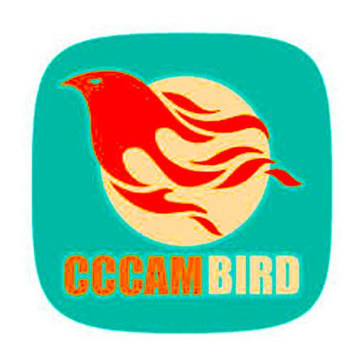 cccambird server आइकन