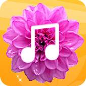 Floral Launcher 1.0