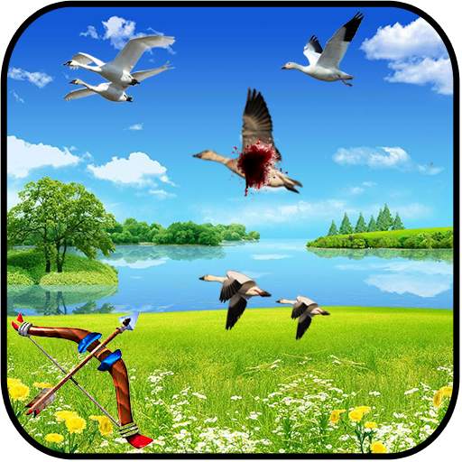 Birds shooter Angry Hunting 1.3