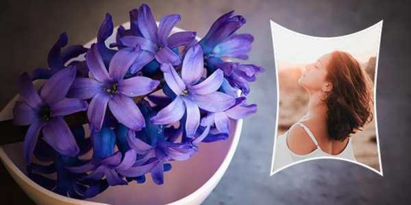 Flower Photo Frame screenshot 1