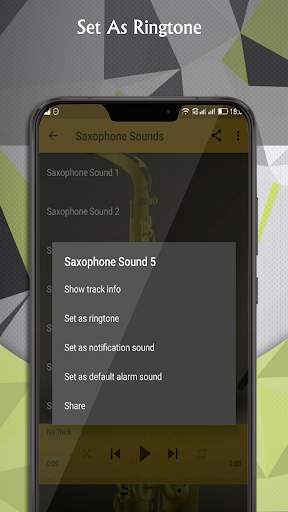 Saxophone Sounds screenshot 3