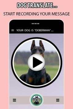Dog Translator Simulator 4 تصوير الشاشة
