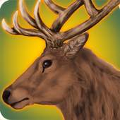 Hunting Animals in Jungle : Forest Sniper shooter 1.1