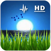Moodify-Relax Sound Sleep Yoga icon