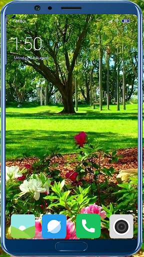 1000   Garden Full HD Wallpaper 4 تصوير الشاشة