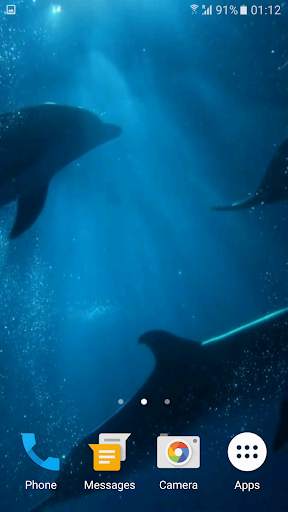 Dolphins 3D Video Wallpaper screenshot 5