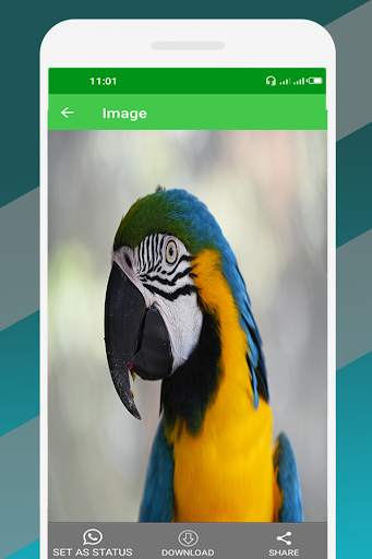 Status Saver : Download Status & Videos screenshot 3