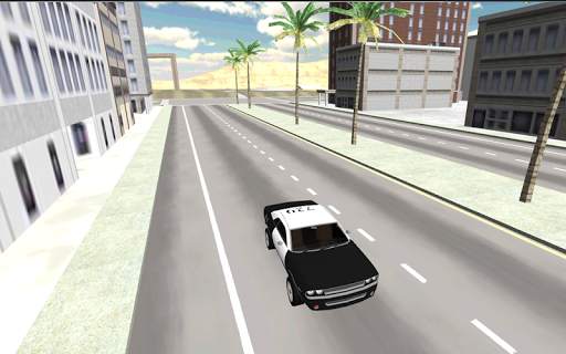Polis arabası yarışçısı 3D screenshot 24
