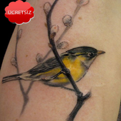 Bird Tattoos icon