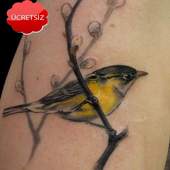 Bird Tattoos 2.1