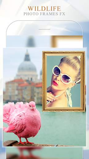 WildLife Photo Frame FX screenshot 4
