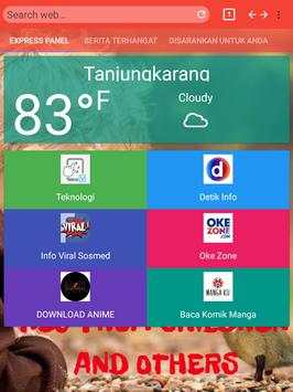 Fast Browser Pro screenshot 1