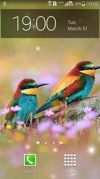Spring Birds screenshot 1