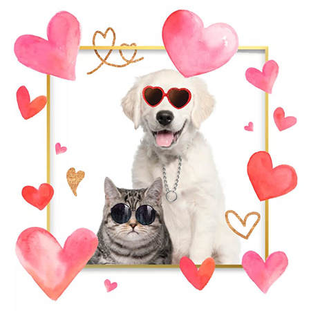 Pets photo editor screenshot 5