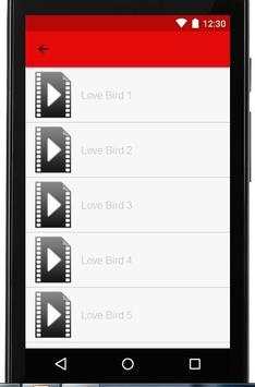 Suara Kicauan Love Bird screenshot 2