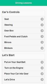 Driving Lesson screenshot 1