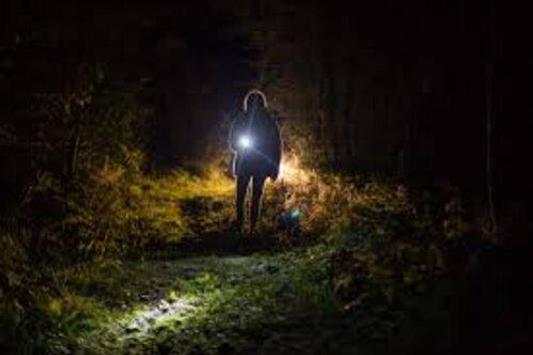 Flashlight /New Led Flash light / torch light screenshot 5