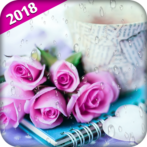 Pink Roses Live Wallpaper icon