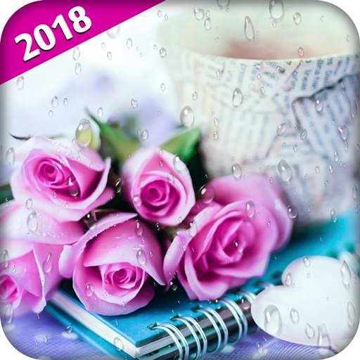 Pink Roses Live Wallpaper 1.3