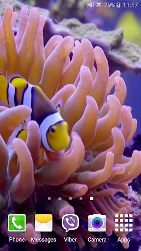 Aquarium Video Live Wallpaper screenshot 3