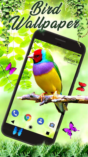 Bird APUS Live Wallpaper screenshot 3