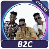 B2C 2.0