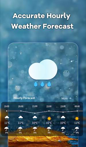 Local Weather screenshot 3
