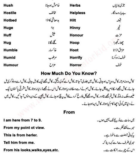 Learn English Speaking in Urdu screenshot 5
