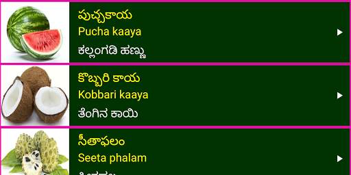 Learn Telugu From Kannada screenshot 13
