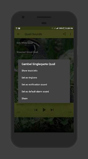 Quail Sounds screenshot 3