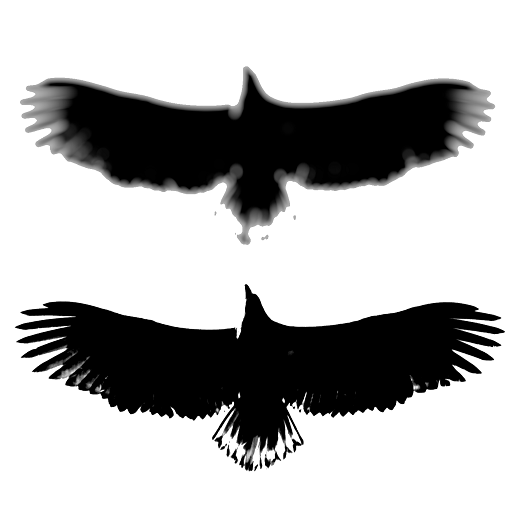 Photo Compare icon