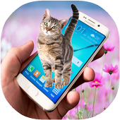 Cat On Screen icon